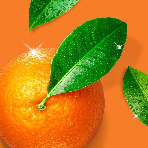 Flash Multipurpose Cleaning Kitchen Spray, Citrus Fresh Scent, 800ml